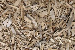 biomass boilers Whepstead
